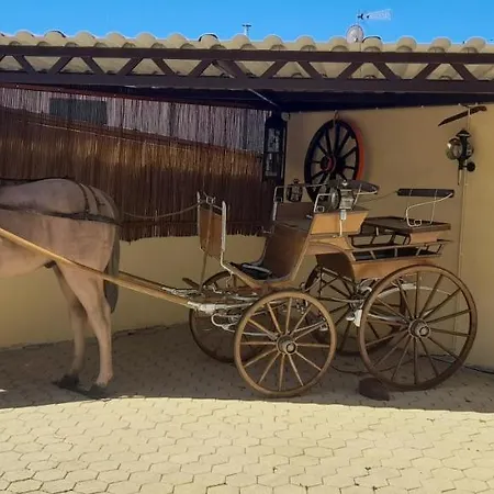 Appartement Solar Do Madala