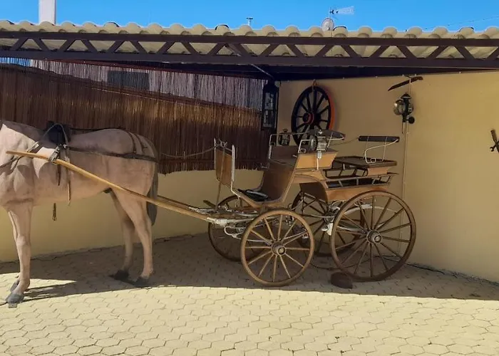 Appartamento Solar Do Madala