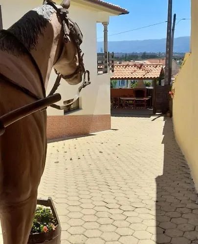 Apartment Solar Do Madala *